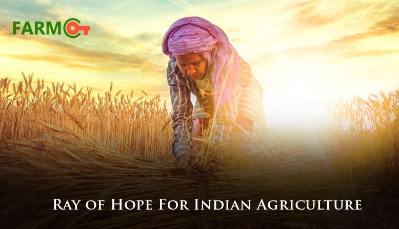 Ray of Hope For Indian Agriculture Even In the 2nd Wave 