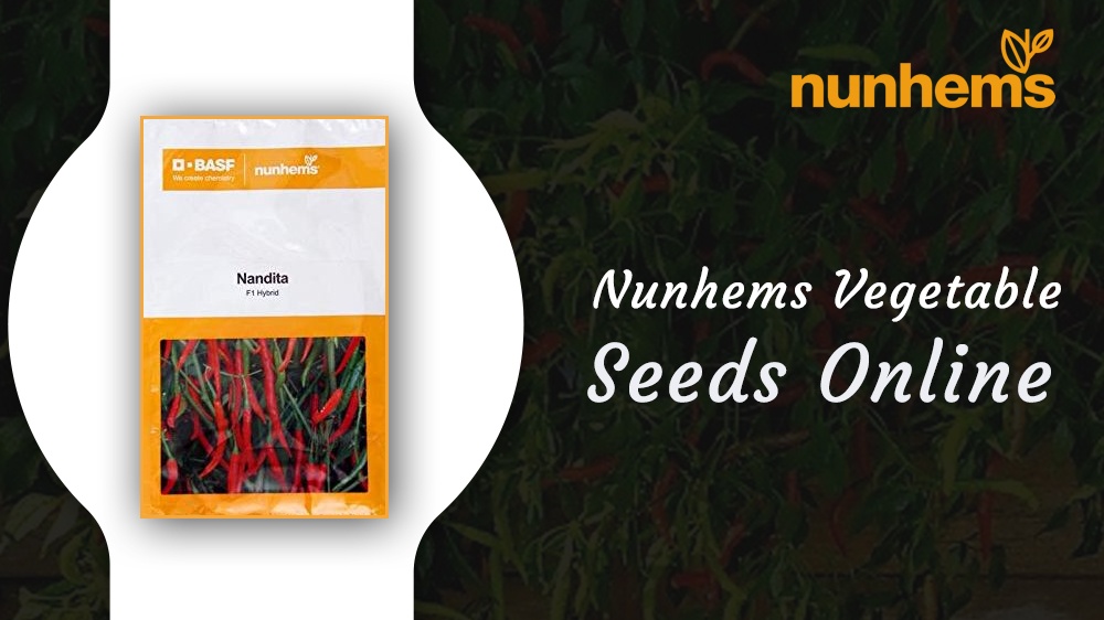 How Can I Get Organic Nunhems Vegetable Seeds Online?