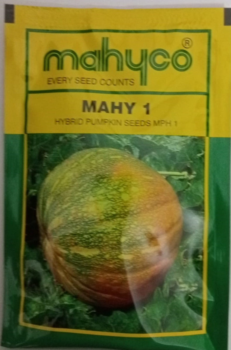 Mahy 1 Pumpkin-50gm
