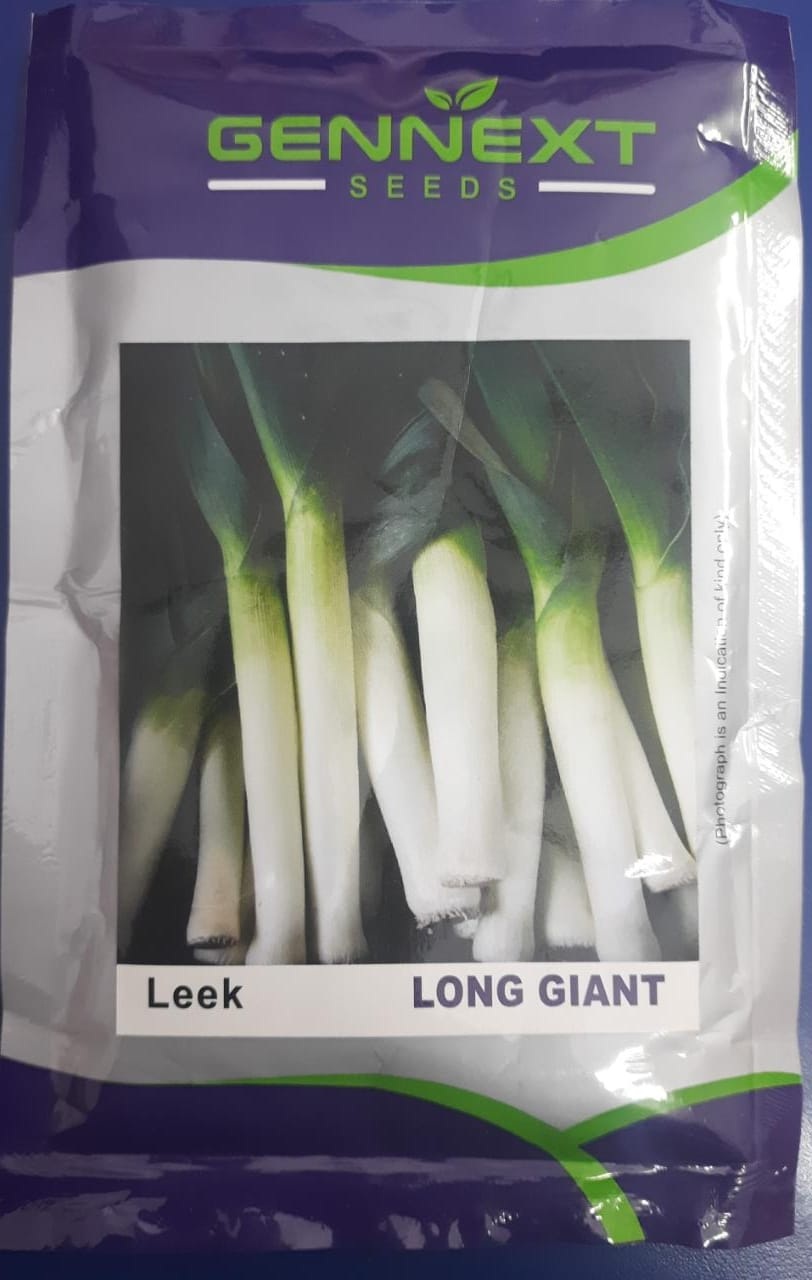 Gennext Long Giant -50gm