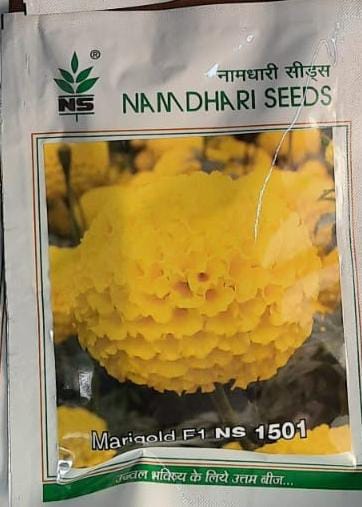 NS 1501 - 1000 Seeds