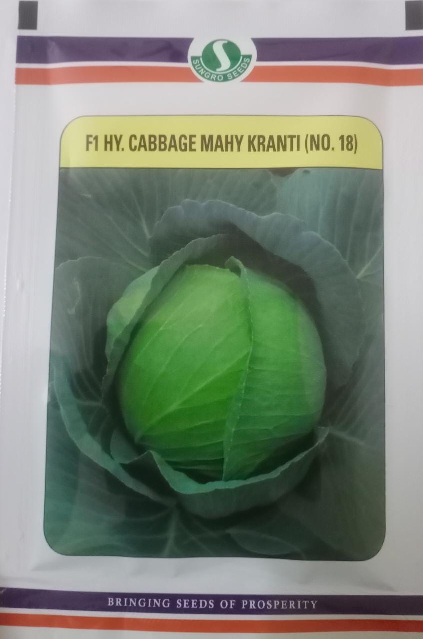 Mahyco Mahy kranti No18 Cabbage -10gm