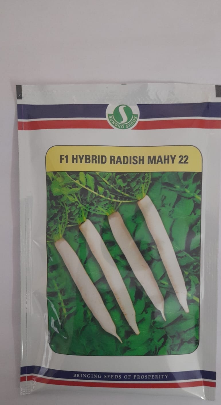 Mahyco Mahy 22 Radish-50gm