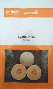 Lyallpur 257- 500 Sds