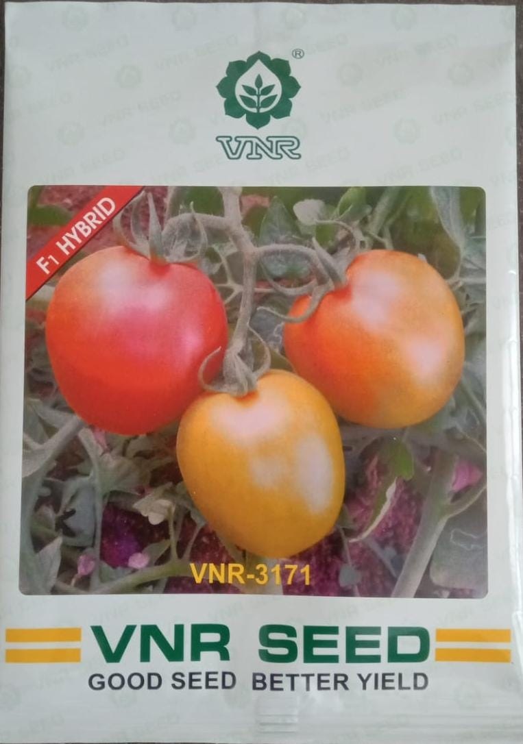 VNR 3171 Tomato-10gm
