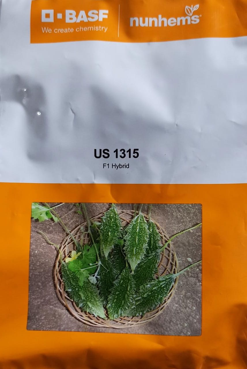 US 1315- 500 Seeds