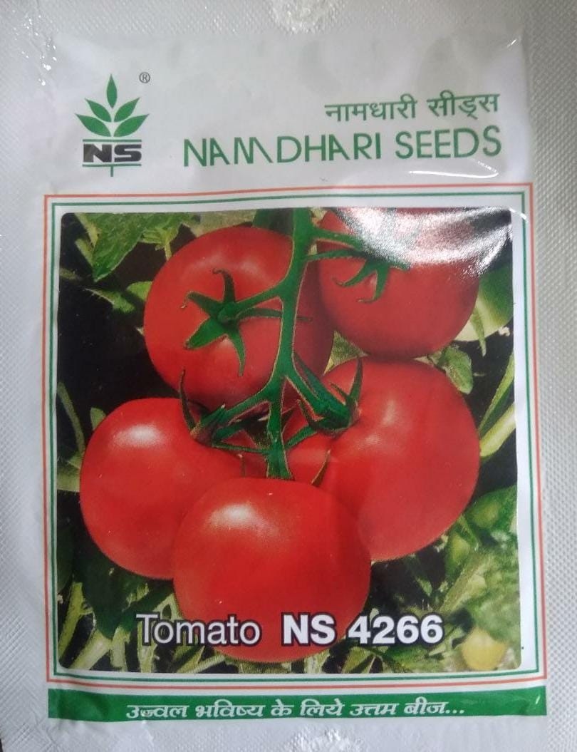 Namdhari NS 4266 Tomata-10gm