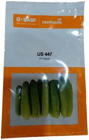Nunhems US 447 -250 Seeds