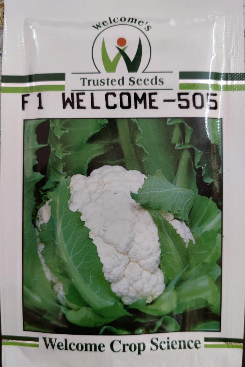 Welcome 505 cauliflower - 10gm 