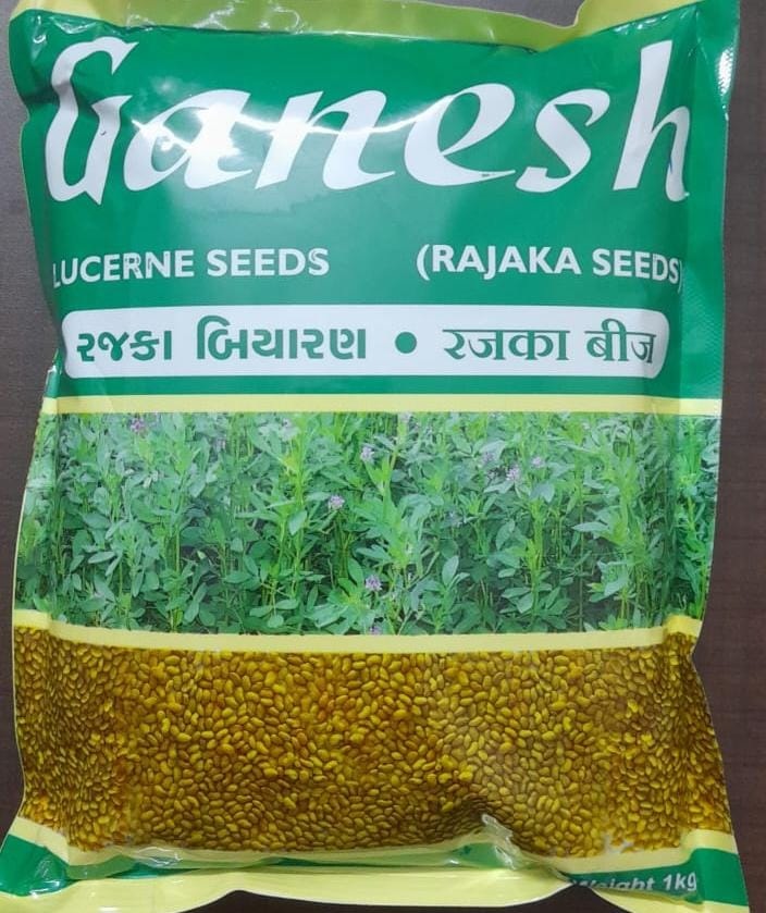 Ganesh Rajaka Seeds-1kg