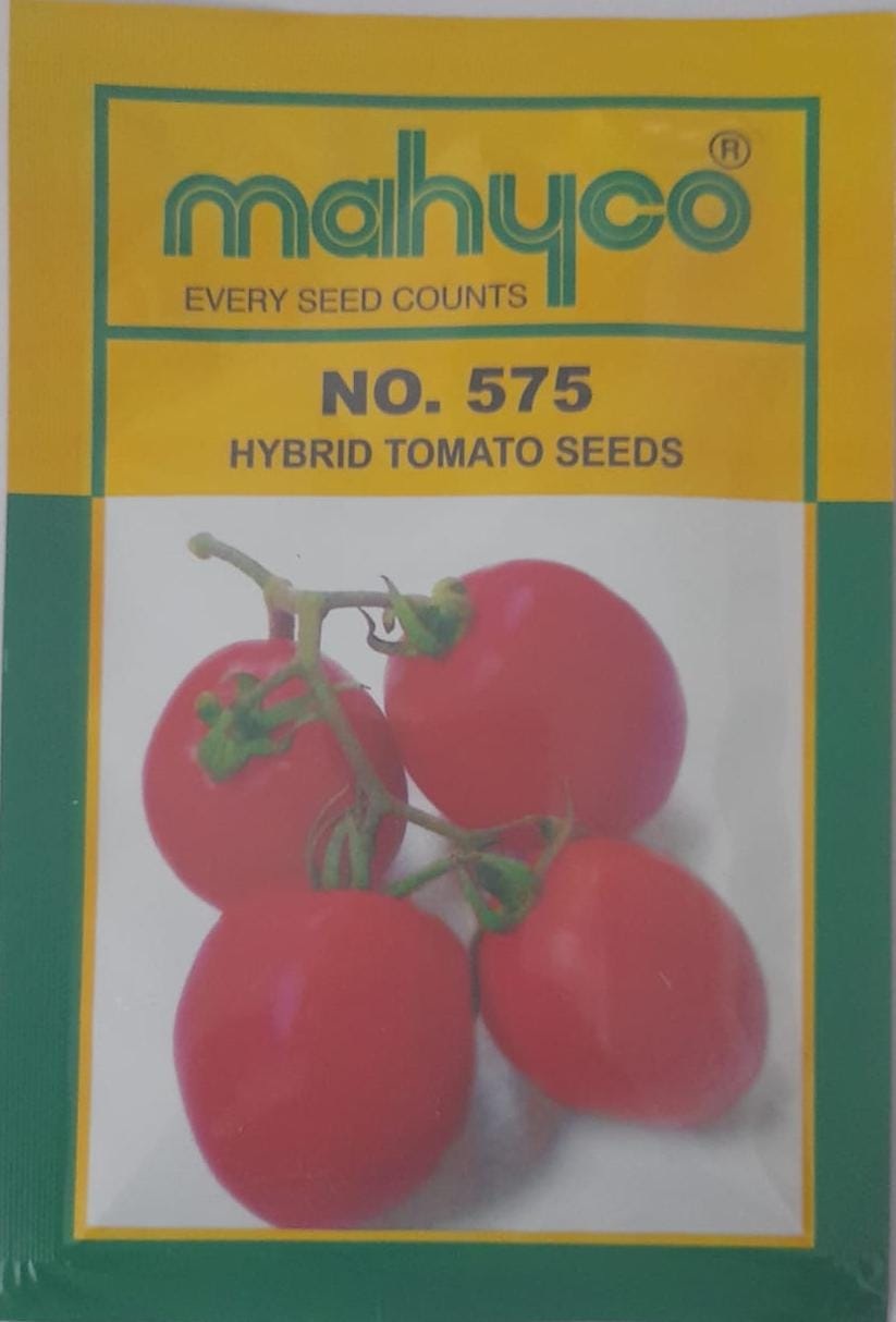 Mahyco No. 575 Tomato -10gm