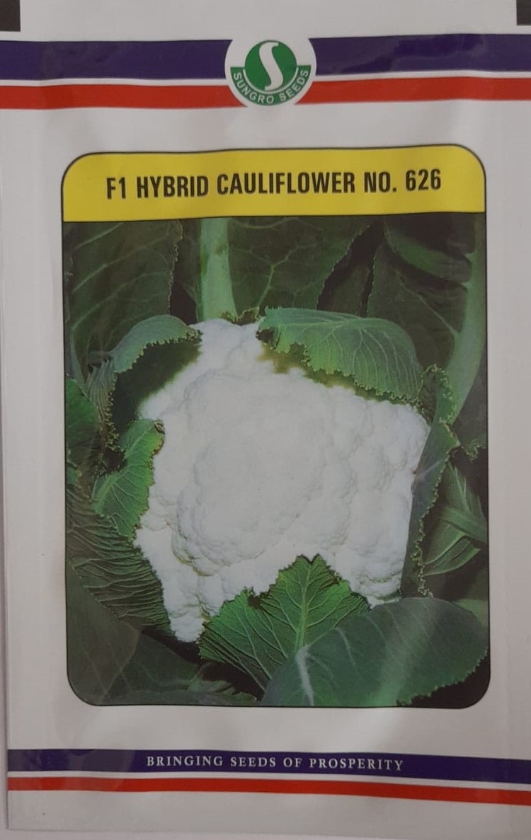 Mahyco Cauliflower No.626-10gm