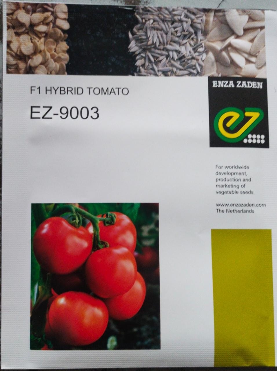 Enza Zaden EZ9003 Tomato -10gm