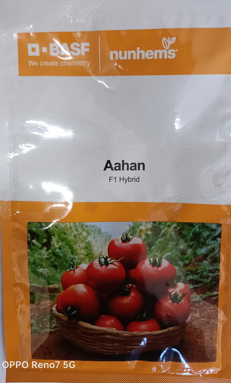 Tomato Aahan - 3000 Seeds