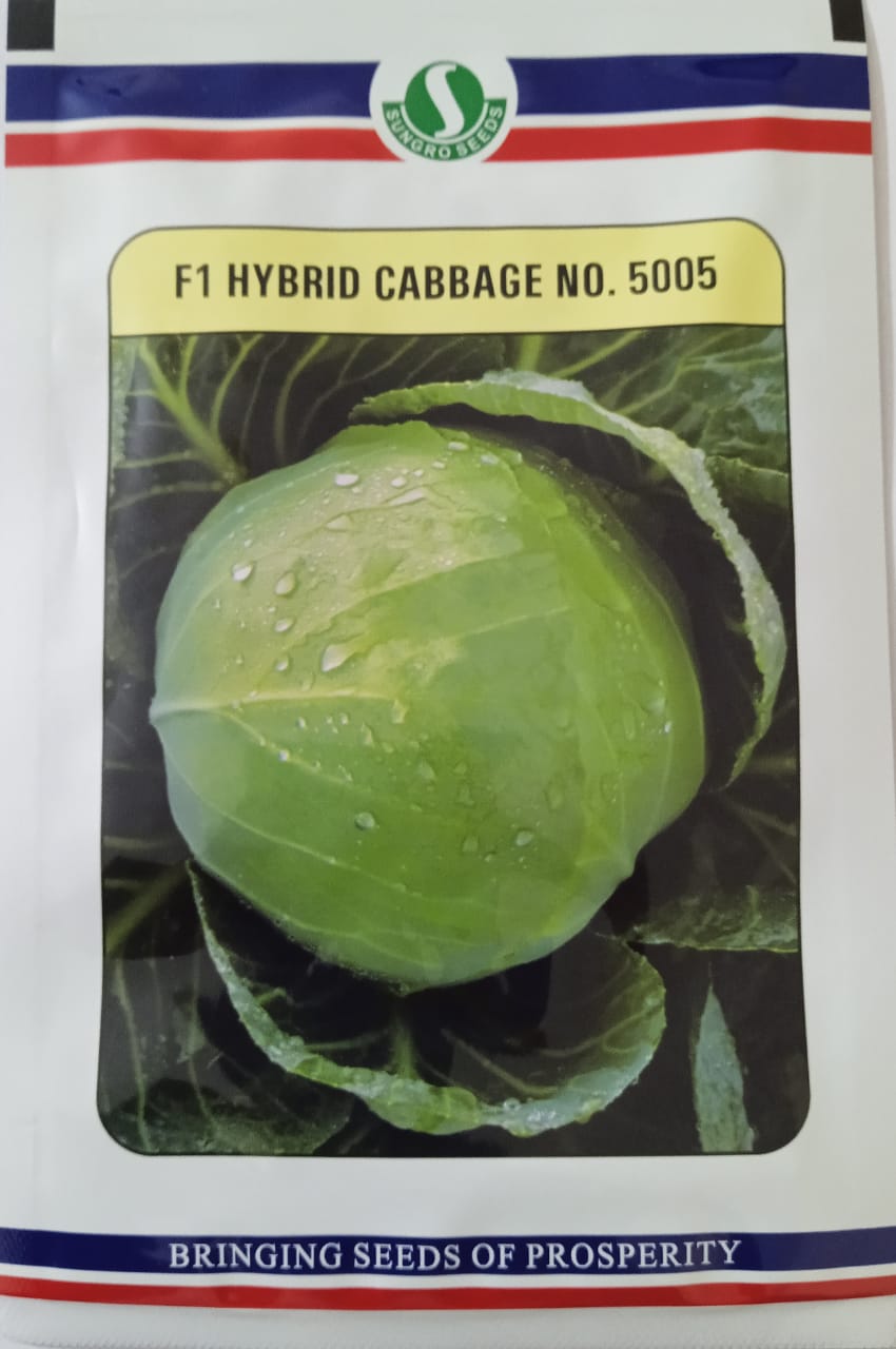 Sungro Cabbage No 5005 - 10 Gm 