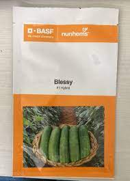 BASF BLESSY CUCUMBER - 250 SEEDS