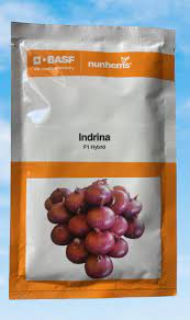 Basf Indrina Onion - 20000 seeds