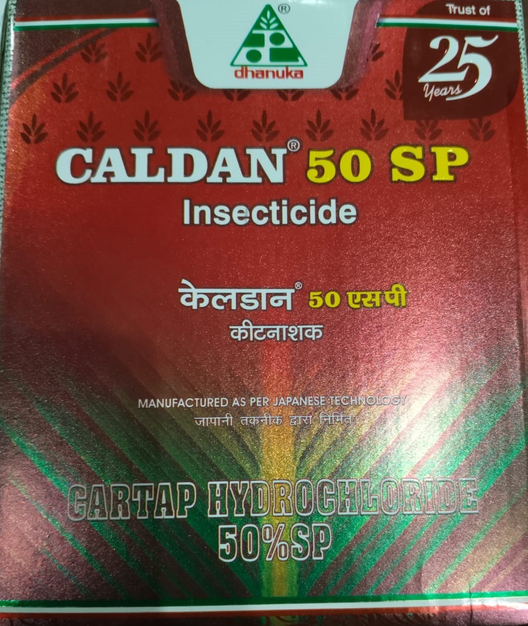 CALDAN - 500GM