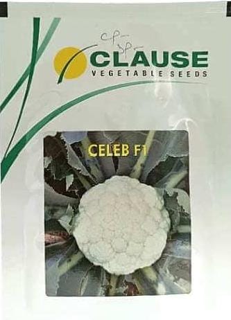 Clause Celeb Cauliflower -10gm