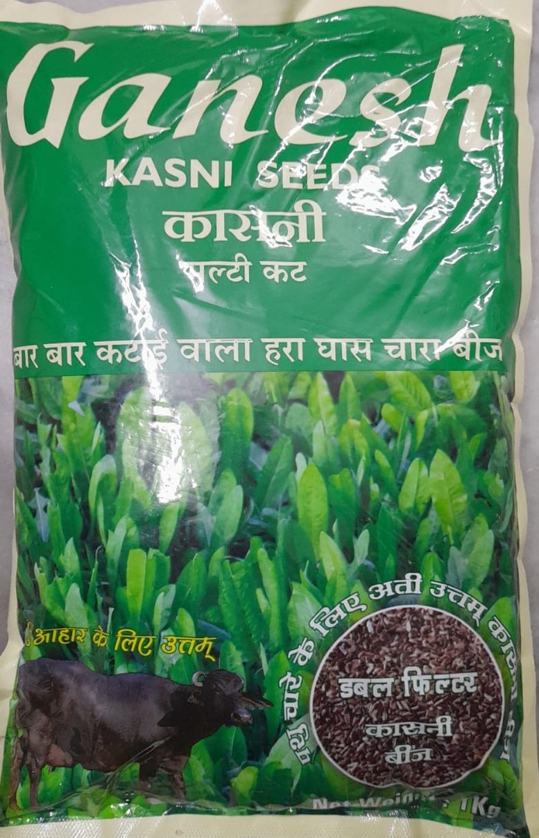Ganesh Kasni - 1Kg 
