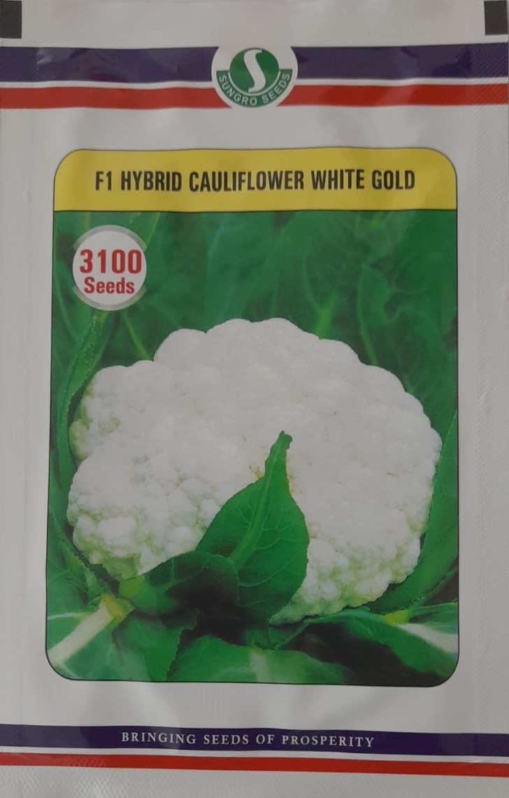 White Gold Cauliflower - 3100 Seeds 