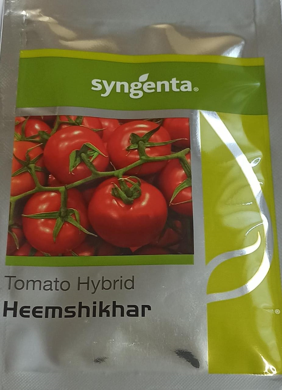 Syngenta Heemshikhar Tomato - 4000 Seed