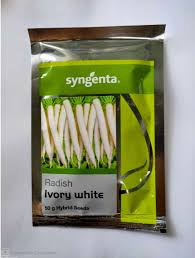 Syngenta Radish Ivory White - 250gms
