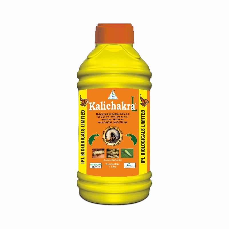 Kalichakra-L
