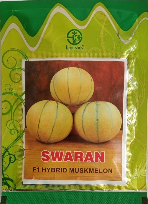 Kaveri Swaran Muskmelon - 50 gm