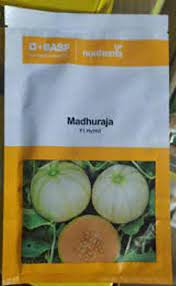 Madhuraja- 1000 Seeds