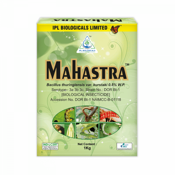 uploads/product/Mahastra-600x600.png