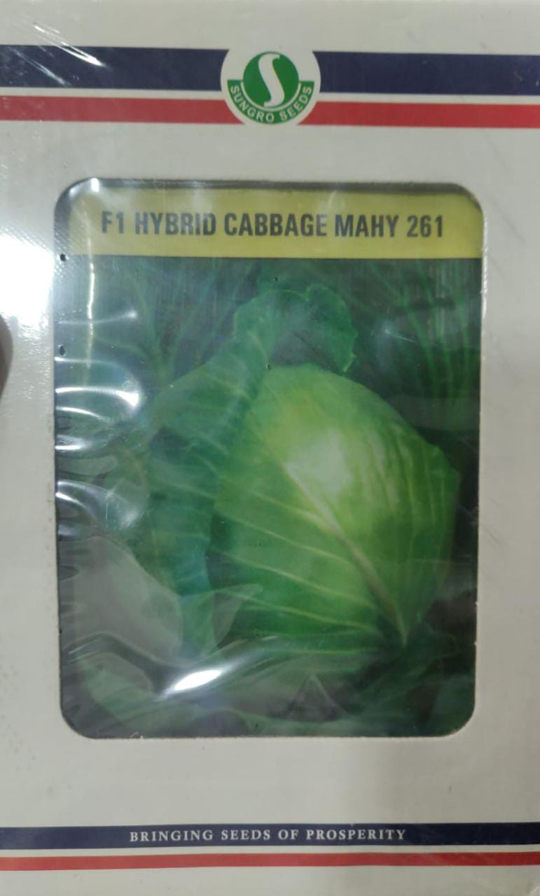 Cabbage Mahy 261 - 10gm