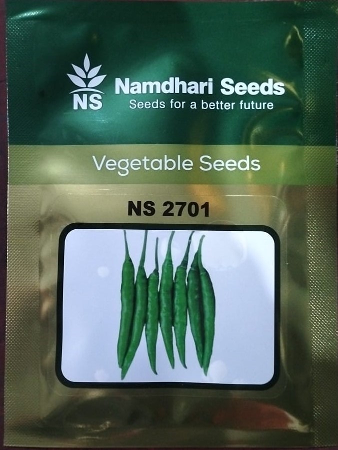 NS 2701 CHILLI - 2000 SEED