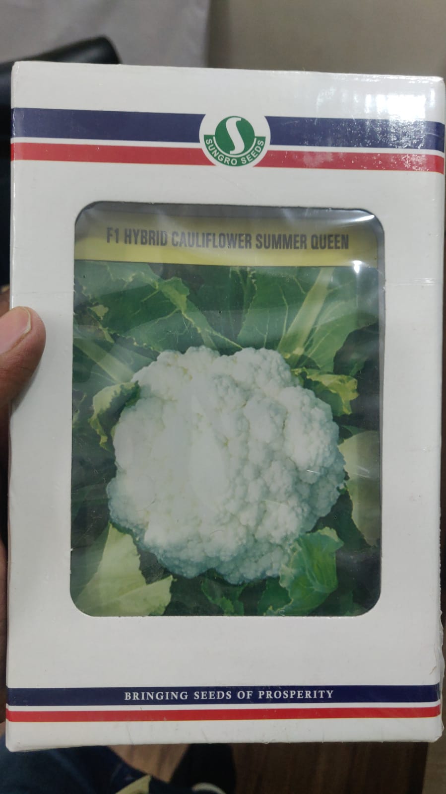 Cauliflower Summer Queen - 10gm