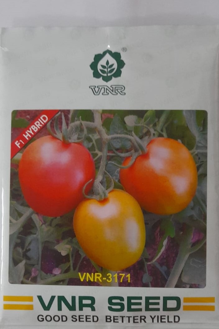 VNR Tomato 3171 -10gm