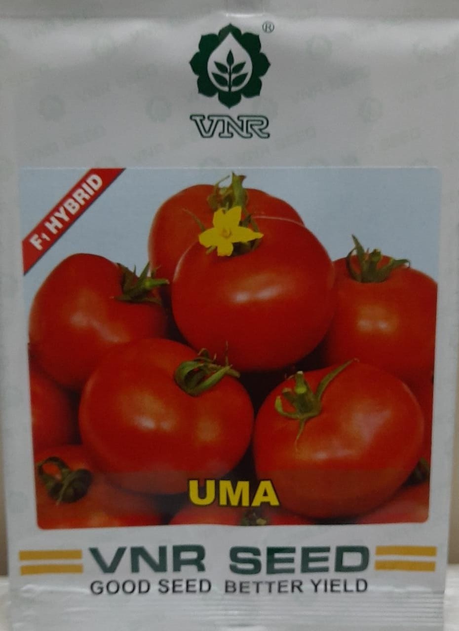 VNR Uma Tomato-10gm