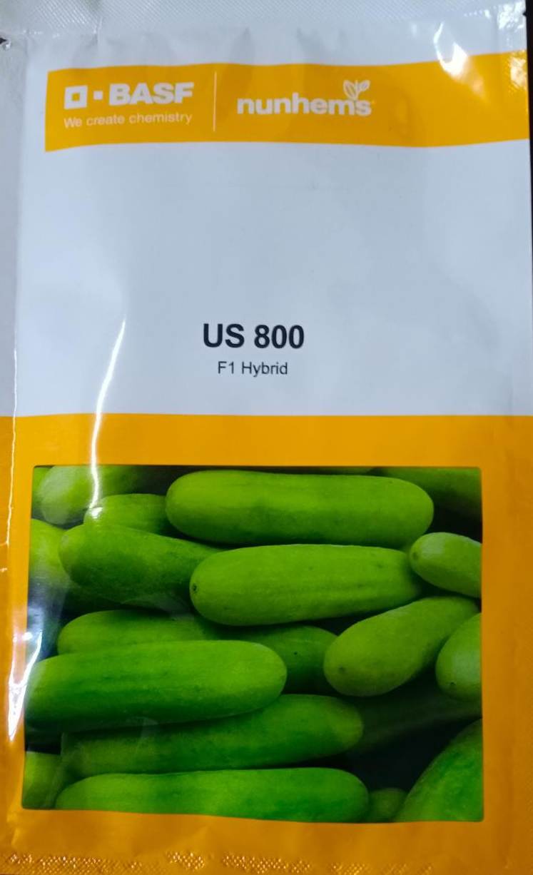 uploads/product/US_800_Cucumber.jpg