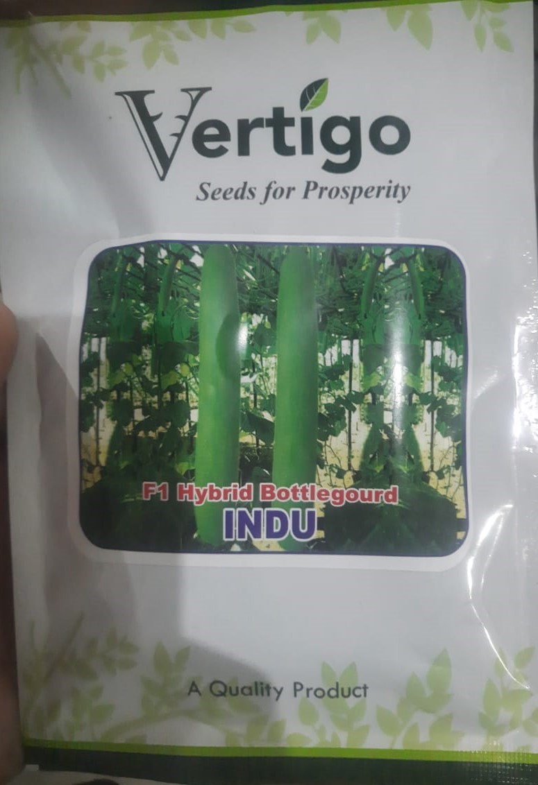 Vertigo Indu Bottle Gourd - 50gm