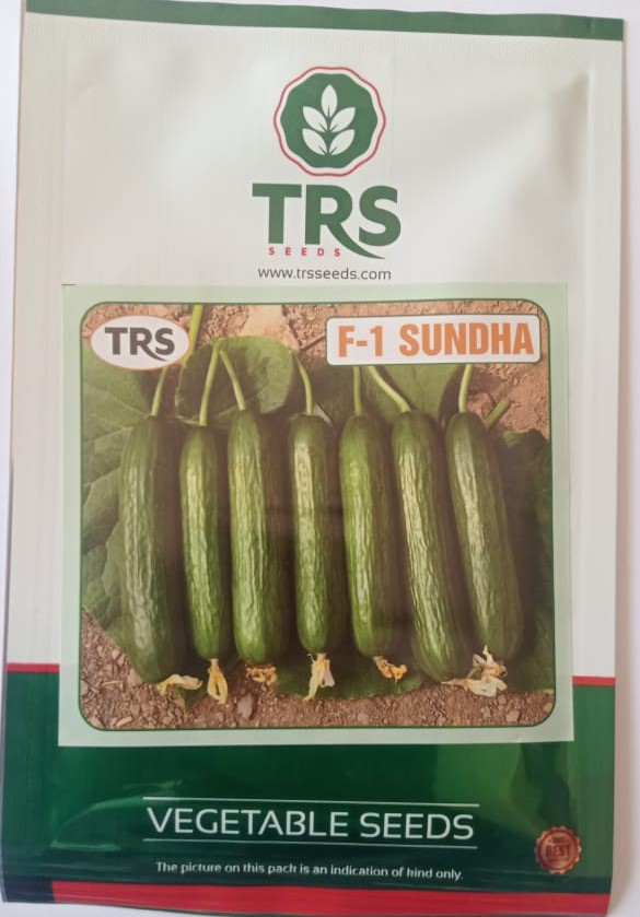 TRS-SUNDHA - 10 GM