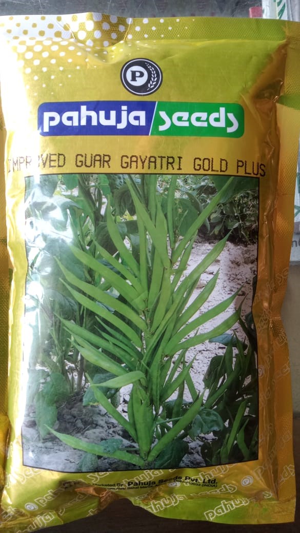 PAHUJA  GAYATRI  GOLD PLUS GUAR - 500GM