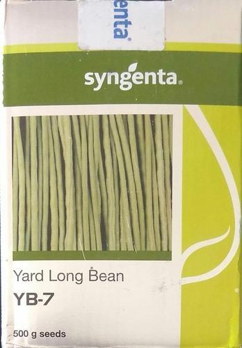 Beans YB 7- 500 gm