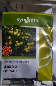 Syngenta Tomato Baaho (TO 3141) - 3000 Sds