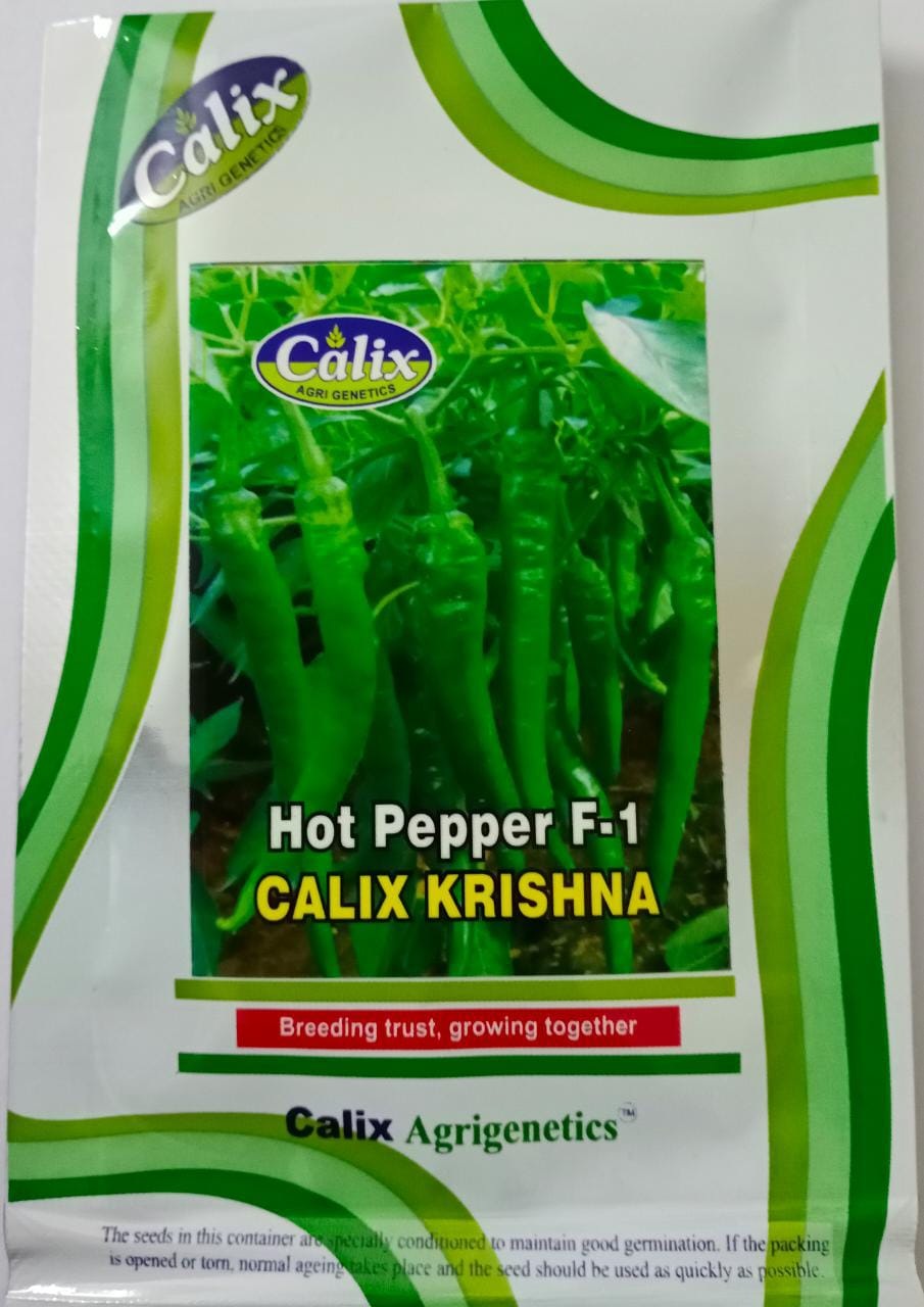 Calix Krishna Chilli -8gm