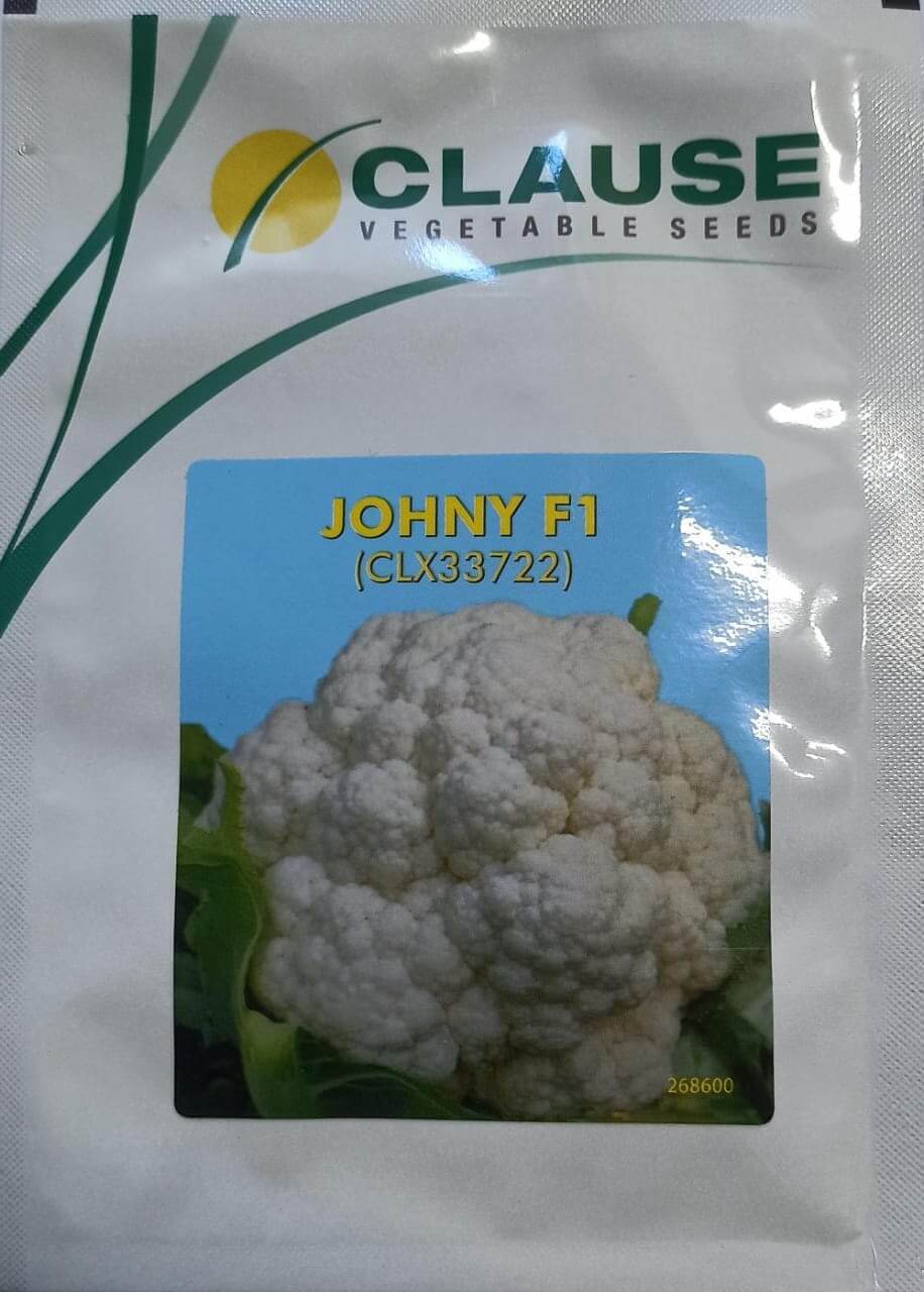 Cauliflower Johny - 10gm