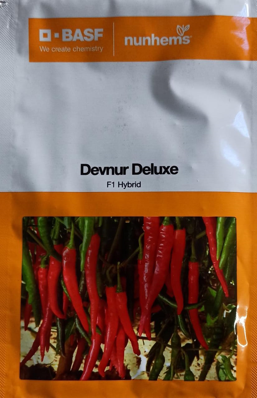 Nunhems chilli Devnur Deluxe