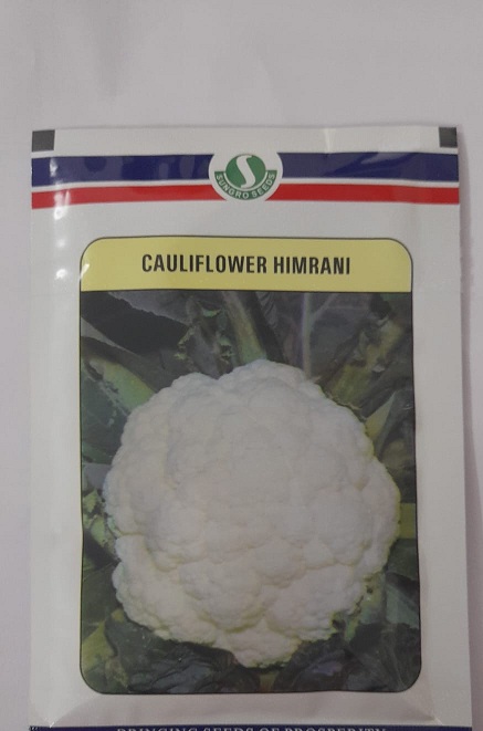 Mahyco Himrani Cauliflower-50gm