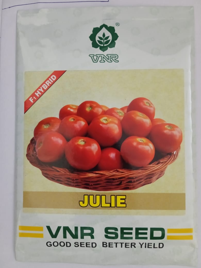 VNR Julie Tomato-10gm