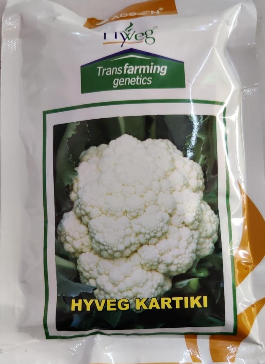 Hyveg Kartiki Cauliflower-250gm