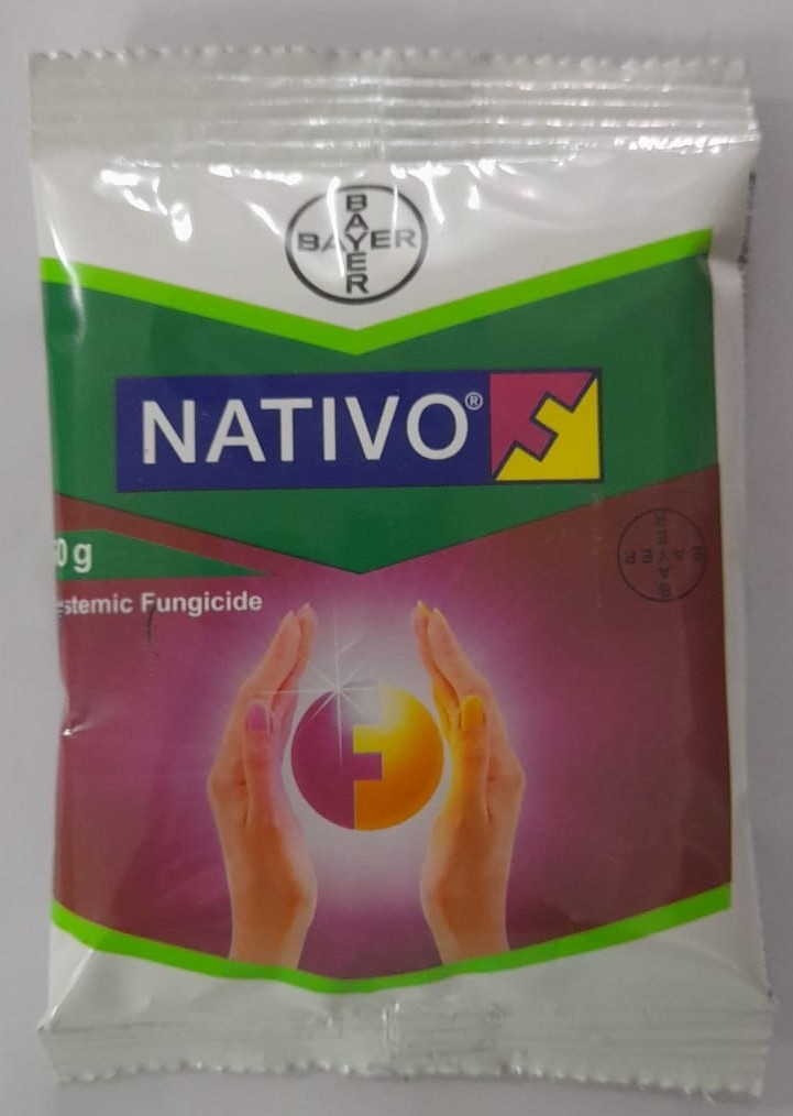 Nativo - 50gm
