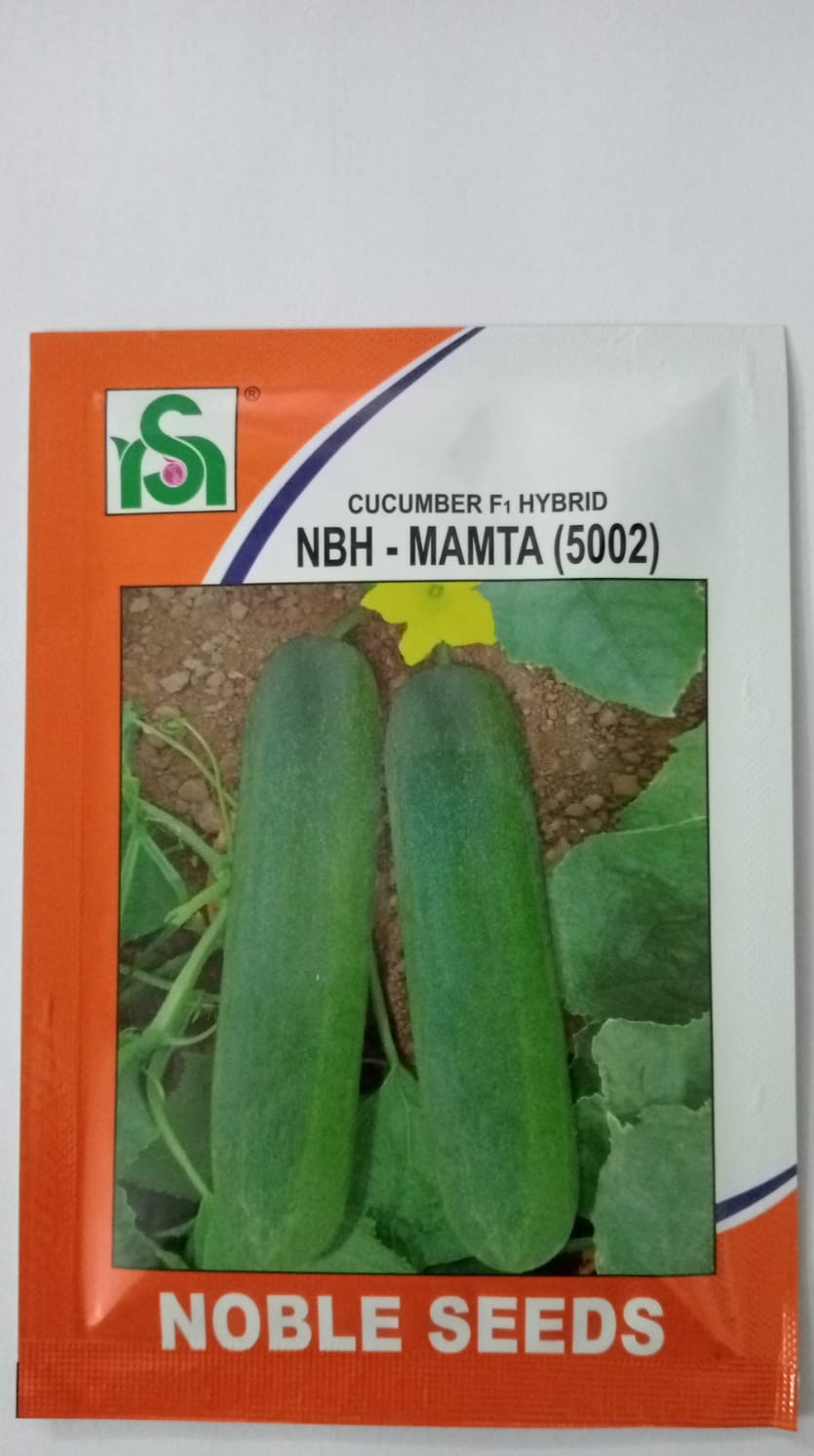 Noble Mamta Cucumber 5002-10gm